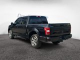 Certified 2020 Ford F150 XLT w/ Equipment Group 302A Luxury image 5