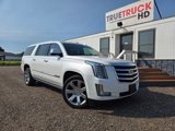 Used 2020 Cadillac Escalade ESV Premium Luxury image 4