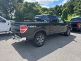 Used 2013 Ford F150 XLT w/ Trailer Tow Pkg image 5