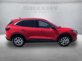 Certified 2024 Ford Escape Active image 2