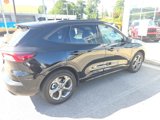 Used 2024 Ford Escape ST-Line w/ Tech Pack #1 image 3