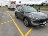 Used 2020 Ford Escape SEL image 2