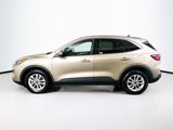 Used 2020 Ford Escape SE image 4