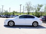 Used 2013 Honda Accord EX-L image 4