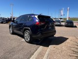 Used 2019 Toyota RAV4 XLE Premium image 3