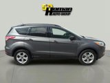 Used 2014 Ford Escape SE w/ Equipment Group 201A image 6