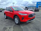 Used 2024 Ford Escape Active w/ Tech Pack #1 image 6