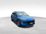 Certified 2020 Ford Escape SEL image 4