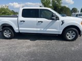 Used 2021 Ford F150 XLT w/ Equipment Group 301A Mid image 3