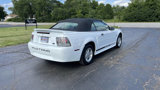 Used 1999 Ford Mustang Convertible image 5