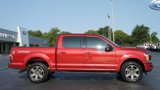 Used 2020 Ford F150 XLT w/ Equipment Group 302A Luxury image 3