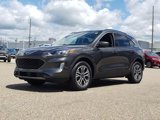 Used 2020 Ford Escape SEL image 4
