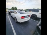 Used 2022 Ford Mustang GT Premium w/ Security Package image 4
