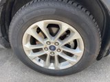 Used 2020 Ford Escape SE image 6