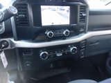 Used 2023 Ford F150 XLT w/ Equipment Group 301A Mid image 5
