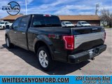 Used 2016 Ford F150 Platinum w/ Equipment Group 701A Luxury image 4