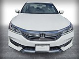 Used 2017 Honda Accord Sport Special Edition image 5