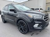 Used 2019 Ford Escape SE image 3