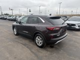 Used 2023 Ford Escape Active w/ Tech Pack #1 image 5