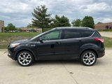 Used 2014 Ford Escape Titanium w/ Equipment Group 401A image 2