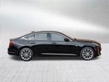 Used 2021 Cadillac CT5 Premium Luxury image 4