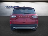 Used 2022 Ford Escape SE image 4