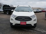 Used 2020 Ford EcoSport SE w/ SE Convenience Package image 2