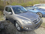 Used 2011 Volkswagen Tiguan SE image 4