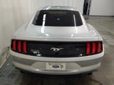 Used 2019 Ford Mustang Coupe image 4