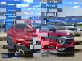 View Video