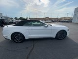 Used 2022 Ford Mustang Premium w/ Equipment Group 201A image 5
