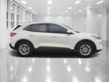Used 2020 Ford Escape SE image 2