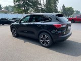 Used 2022 Ford Escape SE image 4