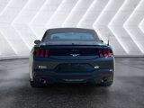 Used 2024 Ford Mustang Premium image 5
