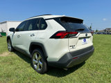 Used 2020 Toyota RAV4 Limited image 5