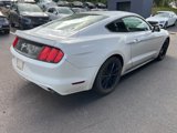 Used 2016 Ford Mustang Coupe w/ Equipment Group 051A image 5
