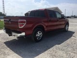 Used 2010 Ford F150 XLT image 3
