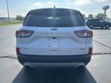 Used 2021 Ford Escape SEL image 6