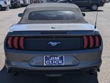 Certified 2022 Ford Mustang Premium w/ Equipment Group 201A image 3