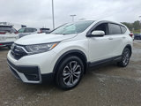 Certified 2022 Honda CR-V EX-L image 3
