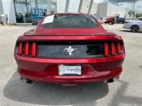 Used 2015 Ford Mustang Coupe w/ Equipment Group 051A image 5