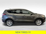 Certified 2017 Ford Escape SE w/ SE Cold Weather Package image 6