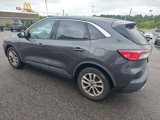 Used 2020 Ford Escape SE image 4