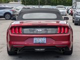 Used 2019 Ford Mustang Convertible w/ Ecoboost Performance Package image 6