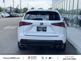 Used 2020 Lexus NX 300 AWD w/ Premium Package image 5