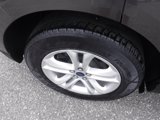 Used 2019 Ford Edge SEL w/ Equipment Group 201A image 4