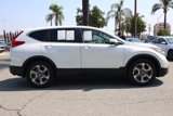 Used 2019 Honda CR-V EX image 3