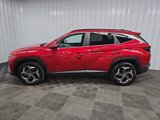 Used 2022 Hyundai Tucson SEL w/ Convenience Package image 5