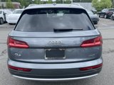 Used 2019 Audi Q5 Prestige w/ Prestige Package image 4