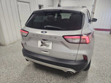 Used 2020 Ford Escape SEL image 6
